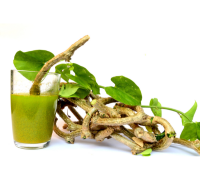 Giloy (Tinospora Cordifolia)
